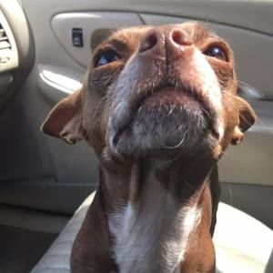 Meet your Posher, Mindy