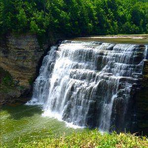 Meet your Posher, Liz