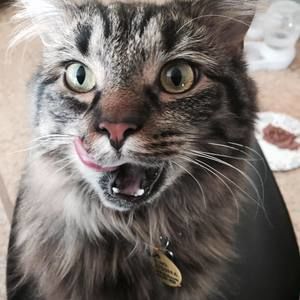 Meet your Posher, Michele