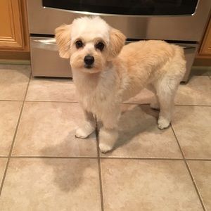 Meet your Posher, Lorie