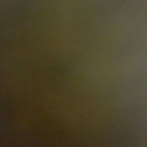 Meet your Posher, Ian