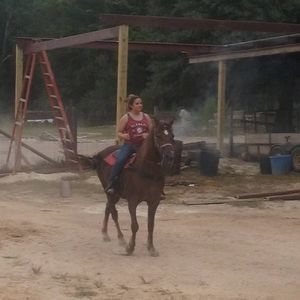 Meet your Posher, Sammie lin