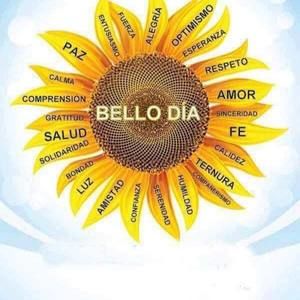 Meet your Posher, Iveth