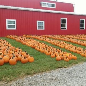 Meet your Posher, Shawnta