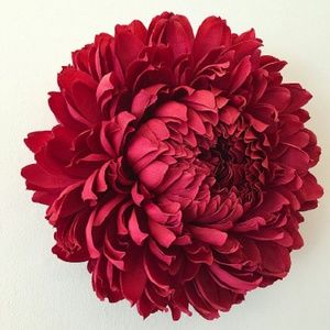 Meet your Posher, Alexys