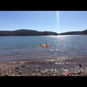 Meet your Posher, Alana