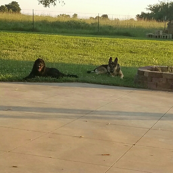 Meet your Posher, Brandy