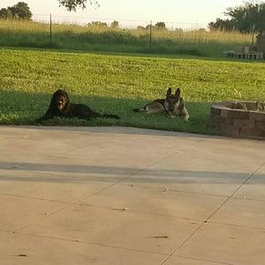 Meet your Posher, Brandy