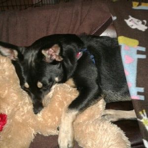 Meet your Posher, Lauri