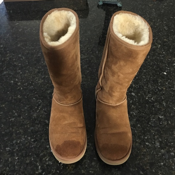 UGG Shoes - Women's Tall Ugg Boots