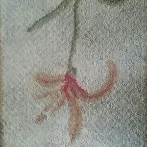 Meet your Posher, Eva