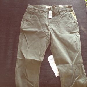 Brand new loft pants