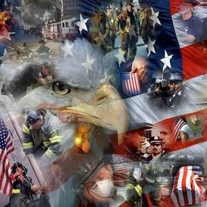 Meet your Posher, Lynne