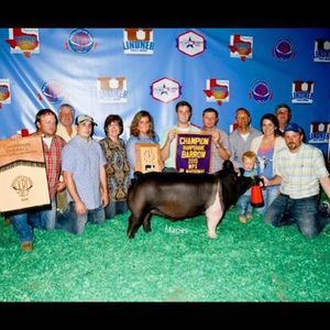 Meet your Posher, Justin