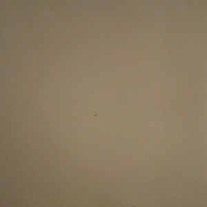 Meet your Posher, Marlena