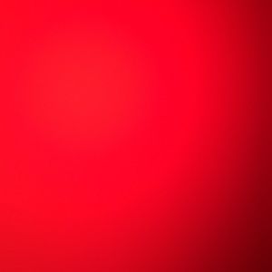 Meet your Posher, Bailey