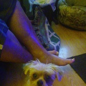 Meet your Posher, Carol