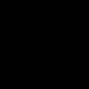 Meet your Posher, Levy