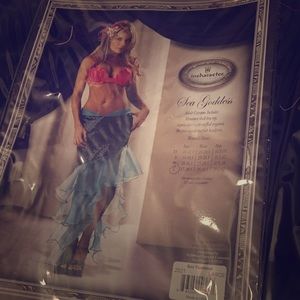 Disney Little Mermaid Costume (Adult) size Large