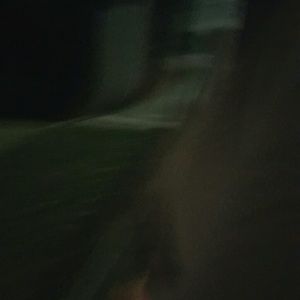 Meet your Posher, Niki