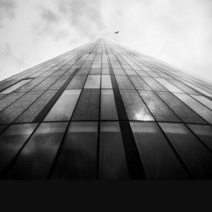 Meet your Posher, Brocky