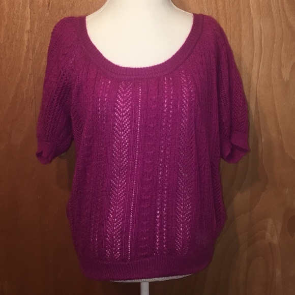 Express design studio sweater