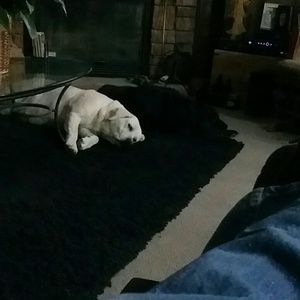 Meet your Posher, Beth