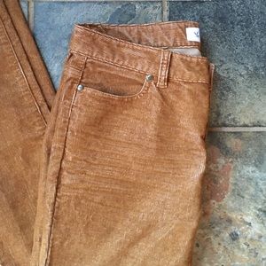 Carve Design corduroy NWT