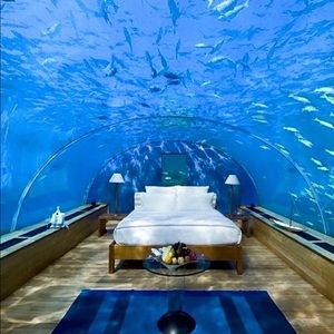 Meet your Posher, Monica