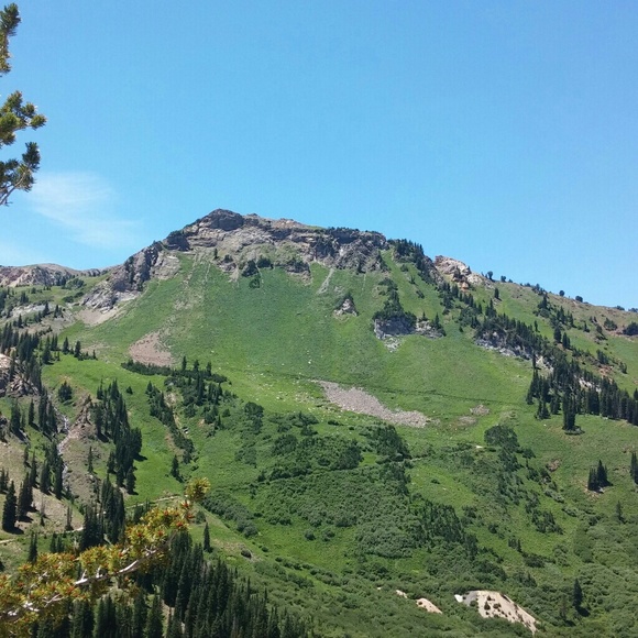 Meet your Posher, Agatha Moustafa - Picture 3 of 3