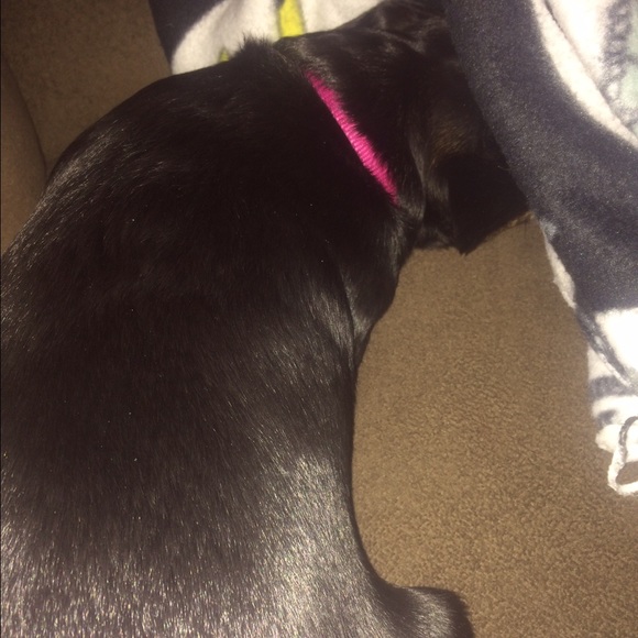 Meet your Posher, Nicholas - Picture 1 of 1