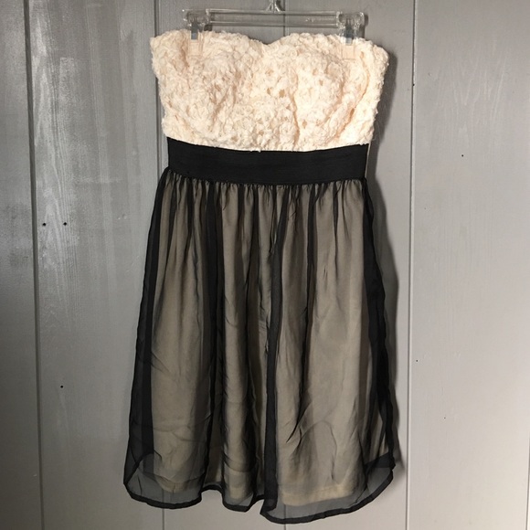 Cream & Black Lace/Mesh Strapless Dress - Picture 1 of 2