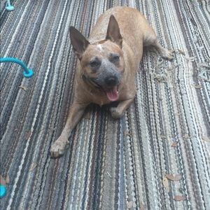 Meet your Posher, Jeanie