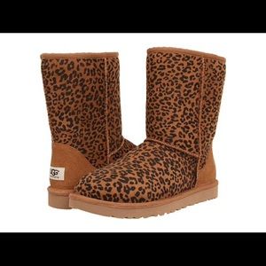 Short leopard Ugg boots