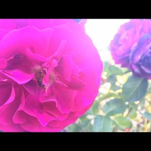 Meet your Posher, Madison