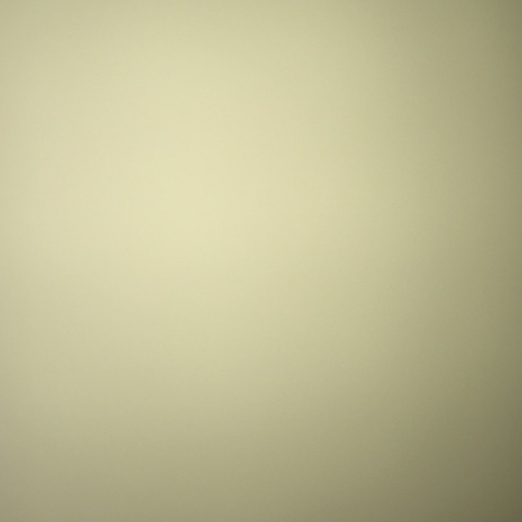 Meet your Posher, Amelia - Picture 1 of 1