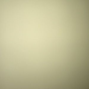 Meet your Posher, Amelia