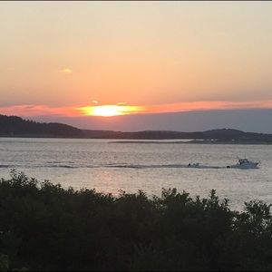 Meet your Posher, Dana