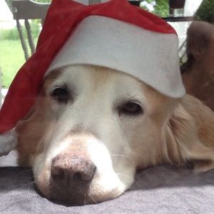 Meet your Posher, Agustin