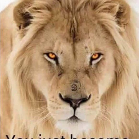 Meet your Posher, Franky