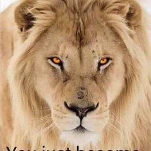 Meet your Posher, Franky