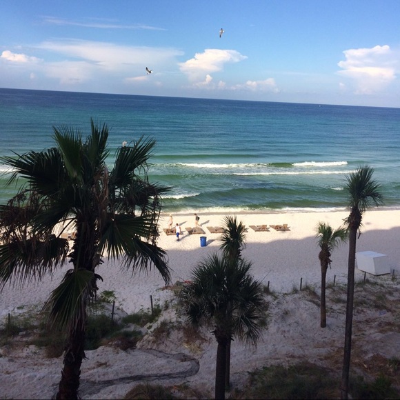 Meet your Posher, Arcelia