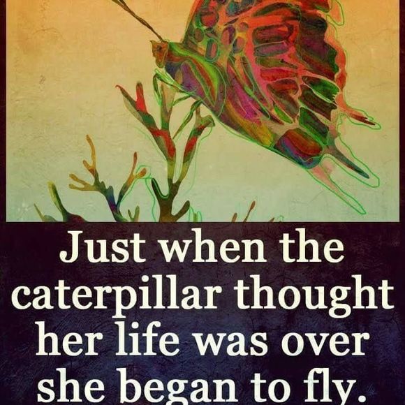 Meet your Posher, L ann