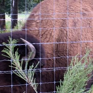 Meet your Posher, Gilbert