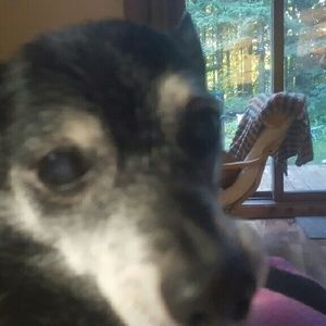 Meet your Posher, Jo