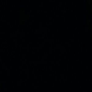 Meet your Posher, Logan