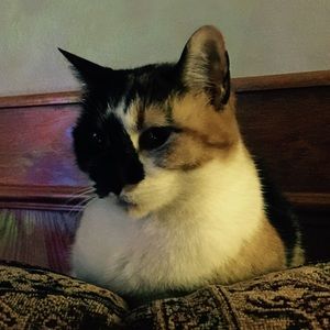 Meet your Posher, Tina