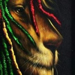 Meet your Posher, Darren