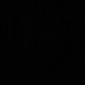 Meet your Posher, Lifen