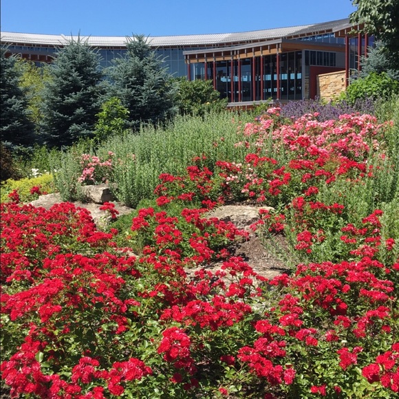 Meet your Posher, Jen - Picture 1 of 1